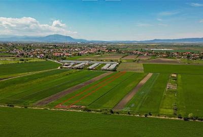 Teren extravilan de 5000 mp, în Bod - 3