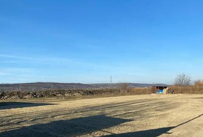 Teren,hala,birouri de inchiriat vaslui - 2