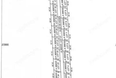 Teren in 23 AUGUST- 600 mp- pe partea cu mare - 2