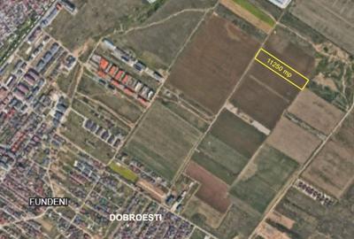 Teren DOBROESTI (str Balantei) Teren DOBROESTI (str Balantei) - 2