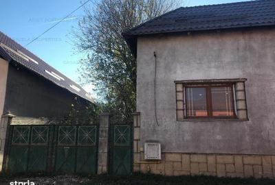 Casă cu Teren 540 Mp în Dumbrăvița - 2