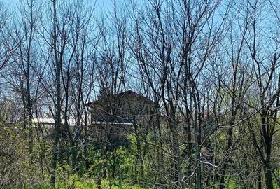 Teren de 7800 mp, în Central - 3