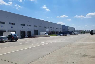 Inchiriere depozit/hala/spatiu industrial Mogosoaia - Centura, Ilfov - 3