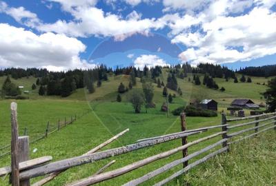 Teren de 14318m.p. in Paltinis, la 100m de strada Princi... - 3