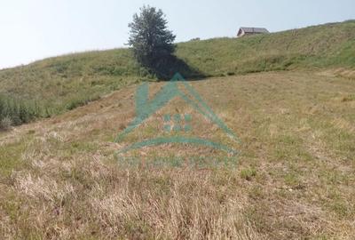 Teren intravilan, 3000 mp, în Corușu! - 2