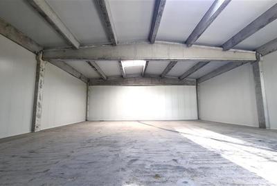 Spațiu industrial, de 523 mp, în Aradului - 5