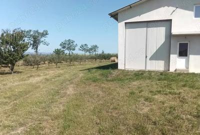 Vand hala industriala - 5