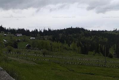 Teren extravilan de 14485 mp, în Iacobeni - 4