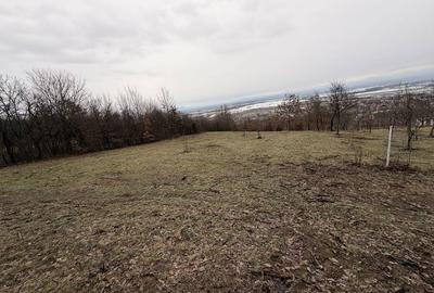 Spațiu comercial, în Buzești - 1