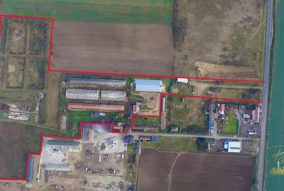 Domeniu - Centru de colectare, 7 ha de vanzare in Valea lui Mihai - 1