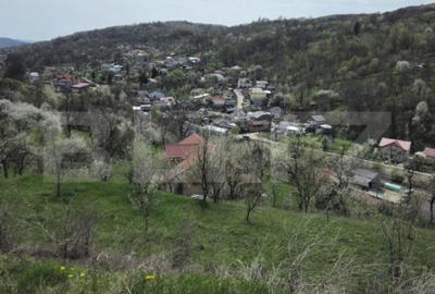 Casă cu 5 camere cu Teren 3000 Mp în Runcu - 3