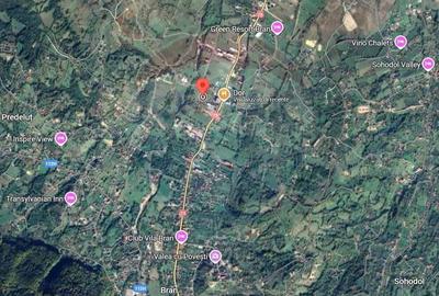 Teren Intravilan in Zarnesti / Soseaua Branului - 1