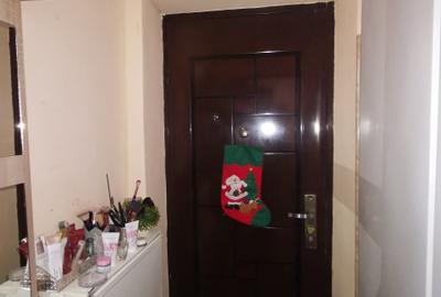 Apartament 2 camere Parcul Tineretului 	Apartament 2 camere Parcul Tineretului - 9