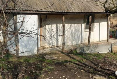 Casă în Central - 4