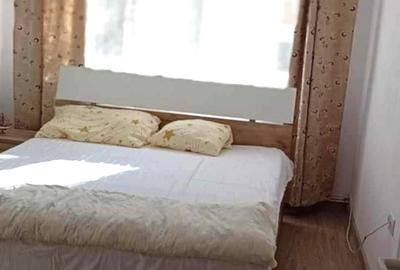 Apartament cu 2 camere decomandat, mobilat în Est - 9