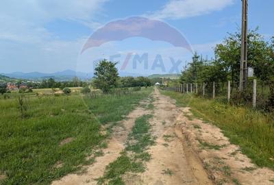 Teren intravilan de vanzare  2.444 mp - Targu Lapus - 6