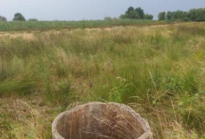 Teren intravilan in Delta Dunarii, C.A. Rosetti - Cardon - 7