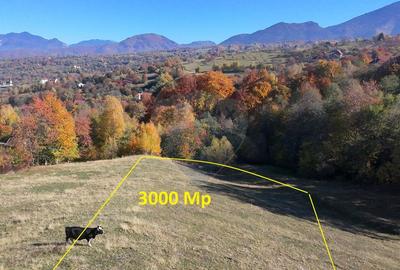 Teren valoros 2,000mp BRAN/Utilitati/Pensiune/Priveliste panoramica - 4