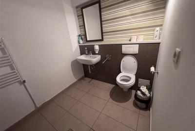 Vila deosebita Str. Vasile Lascar - 10