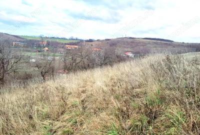 Teren de 1699 mp, în Sopor - 4