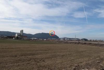 Teren de 4800 mp, în Centură - 1