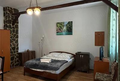 Apartament cu o camera de inchiriat R hotelier - 4