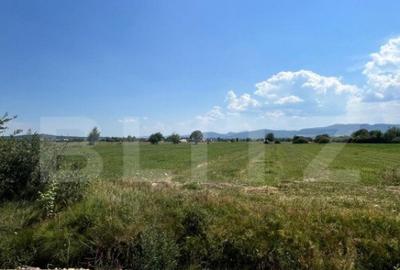 Oportunitate de investitie!! Teren extravilan,4000 mp, Vicov - 11