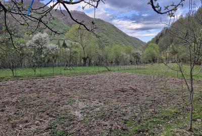 Casă în Ciungetu - 7