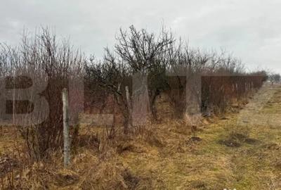 Teren de 2900 mp, în Central - 9