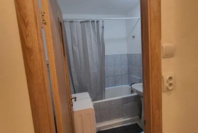 De inchiriat apartament  2 camere Titulescu-Piata Victoriei 550 euro - 5