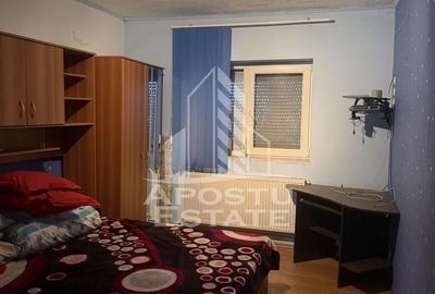 Casa individuala cu teren mare in Remetea Mare - 10