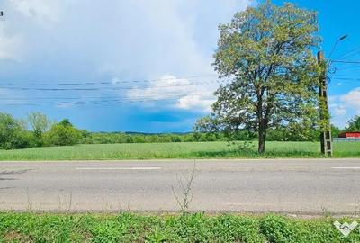 Casă cu 4 camere cu Teren 7481 Mp în Bodești - 7