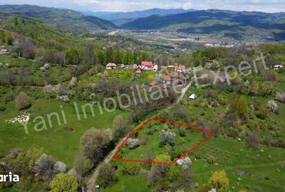 Teren de 2253 mp, în Cepari - 8