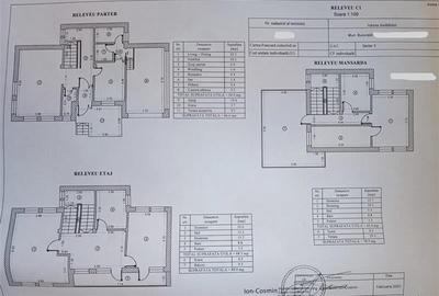 Casa Vila Titan Nicolae Grigorescu - 28