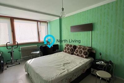 Apartament cu 3 camere semidecomandat în Ozana - 21