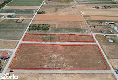 Teren de 629 mp, în Sânmartin - 3