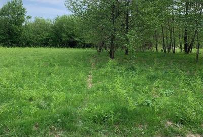 Teren de 1200 mp, în Lisa - 7