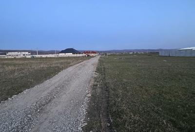 Spațiu comercial, în Șimian - 3