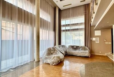 Inchiriere vila individula  8 camere/ pretabil - office, clinica, rezidential - 3