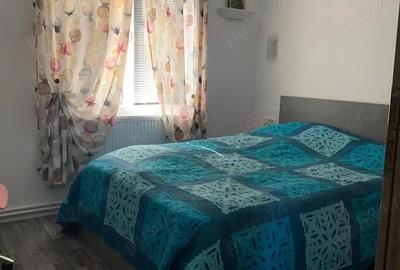 Casă cu 2 camere cu Teren 1250 Mp în Cămineasca - 2