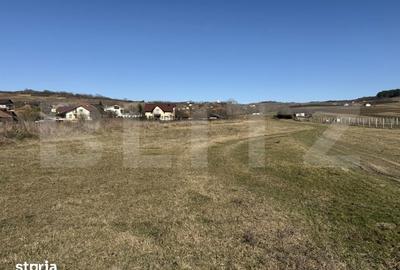 Teren de 2900 mp, în Hereclean - 2
