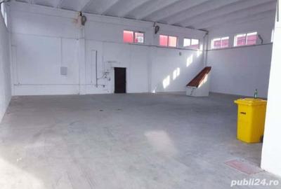 Spațiu comercial, de 500 mp, în Șagului - 3