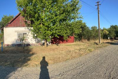 Casă cu 4 camere în Otvești - 2