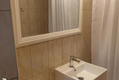 Garsonieră în Cișmigiu - 2