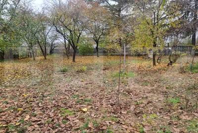 OPORTUNITATE TEREN 0,9 Ha intravilan constructii+extravilan - 10