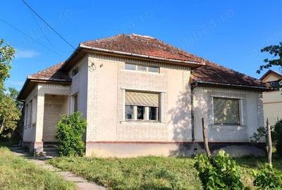 Casă cu 3 camere cu Teren 4123 Mp în Viile Satu Mare - 1