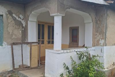 Vand casa teren 3000mp satul Gresia, Rosiorii de Vede, Teleorman - 1