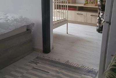 Apartament cu 2 camere semidecomandat în Moșteni - 1