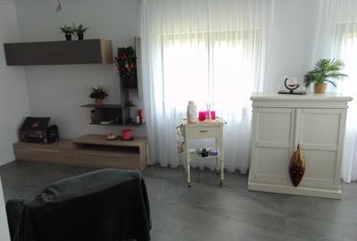 FARA COMISIOANE CASA TOP 3 camere 2 bai incalzire pardoseala tripane pe 800mp - 43