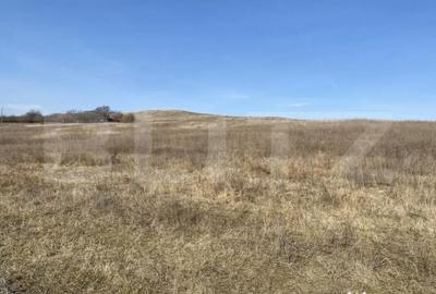 Teren de 140551 mp, în Recea - 8